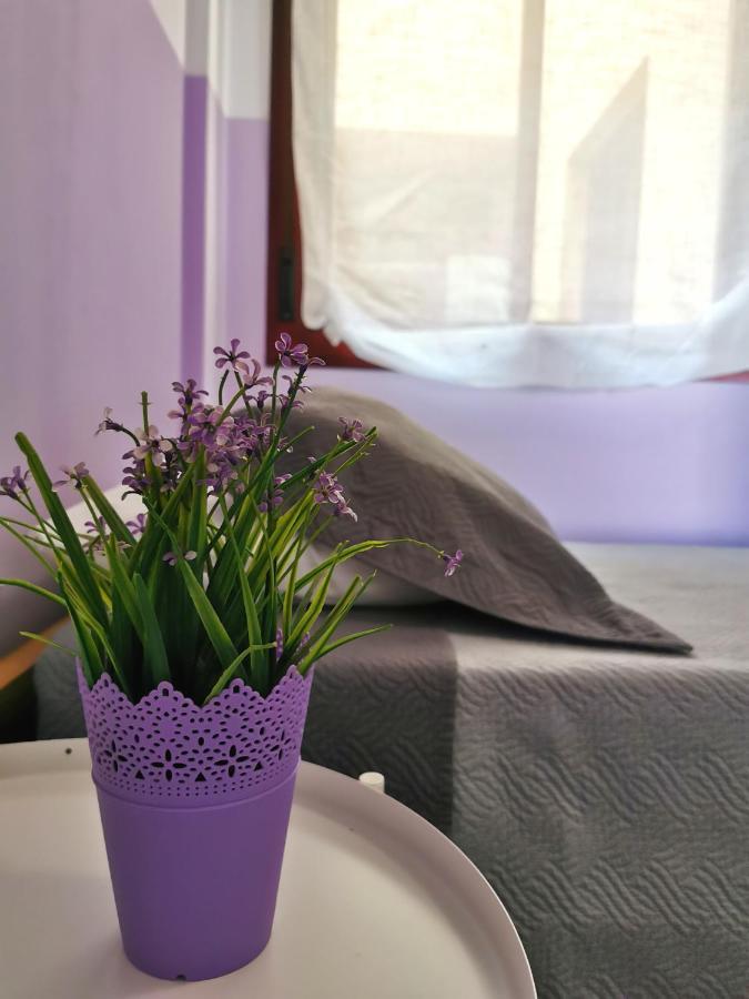 Appartamento Anais Dreams&Relax Corralejo Esterno foto